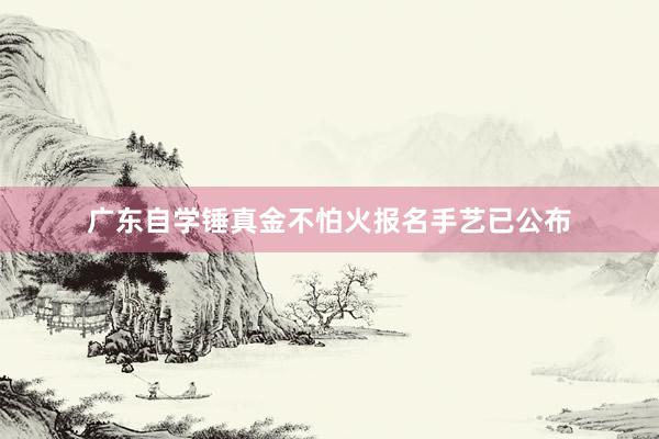 广东自学锤真金不怕火报名手艺已公布