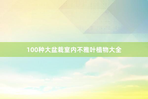 100种大盆栽室内不雅叶植物大全